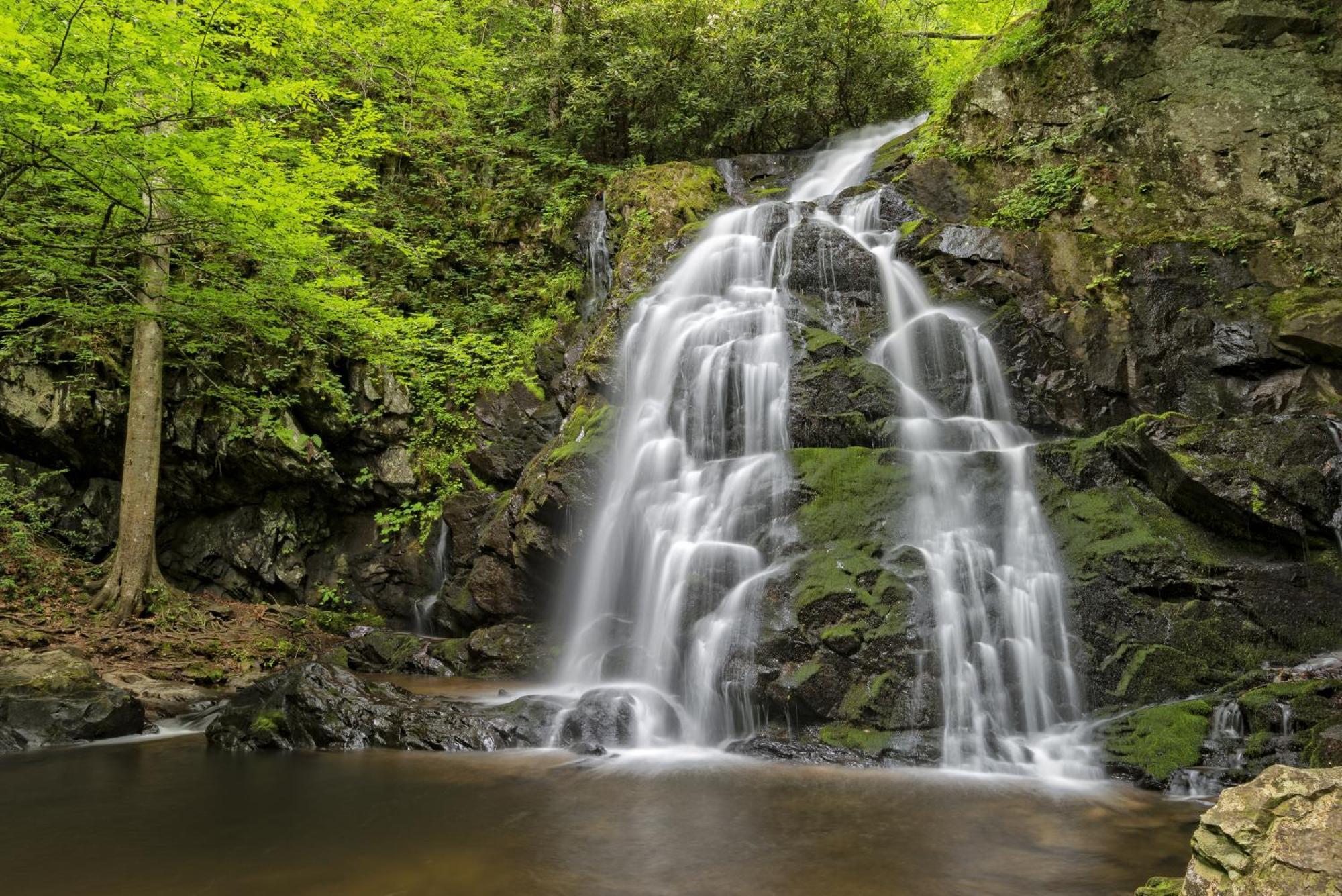 A Great Escape - Get 1089 Of Free Area Attraction Tickets For Each Paid Day, Dollywood And More! Pigeon Forge Bagian luar foto